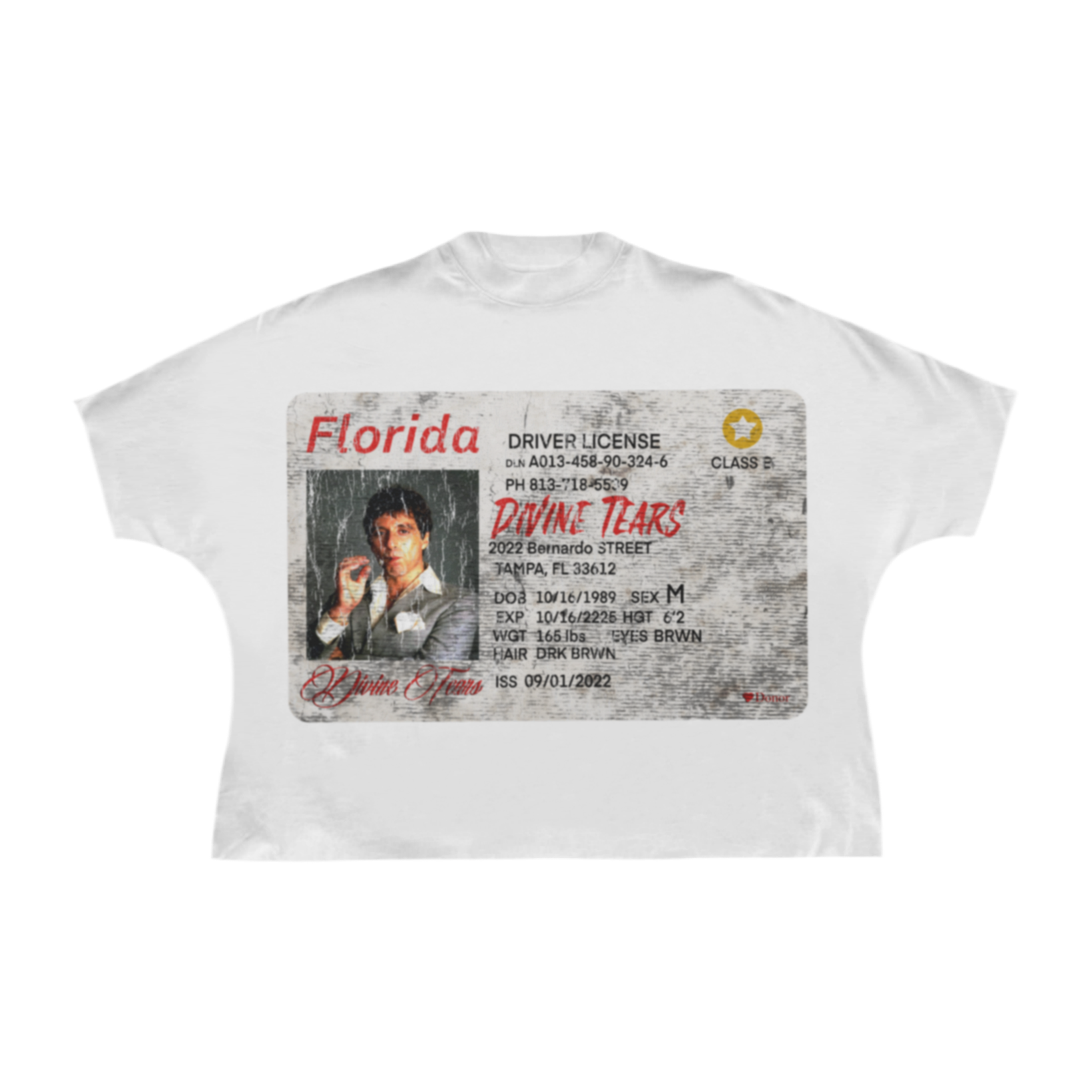 Evokyn Florida License Graphic Tee